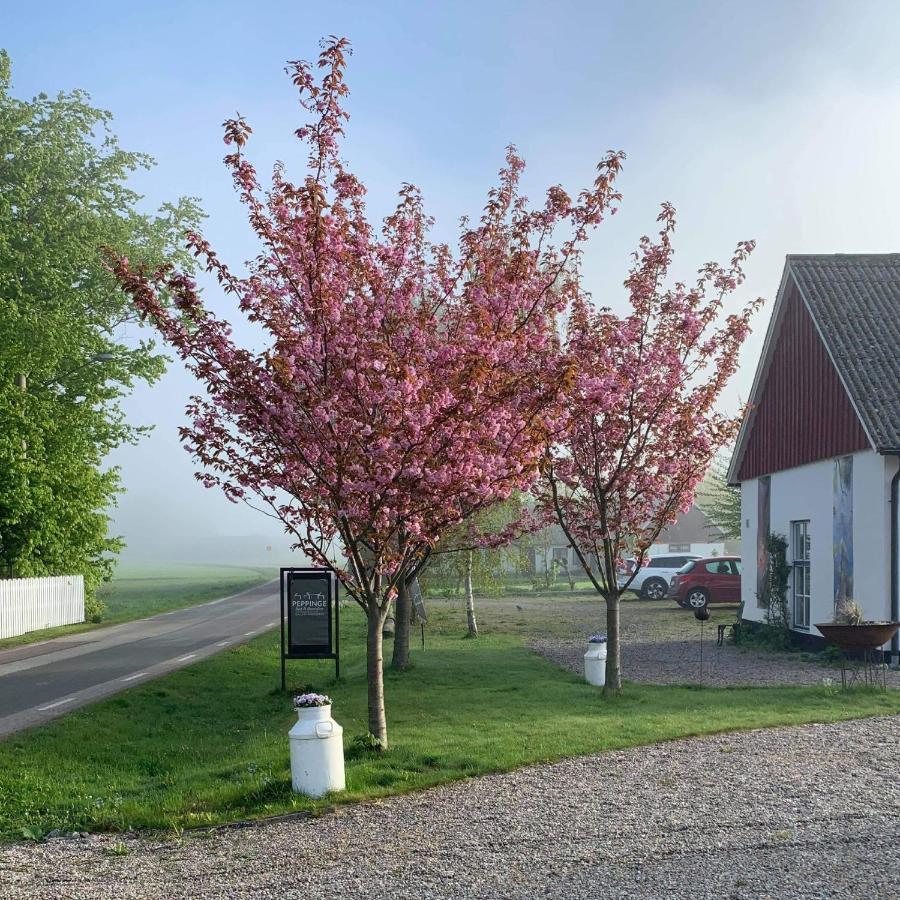 Peppinge Bed & Breakfast Löderup Екстериор снимка